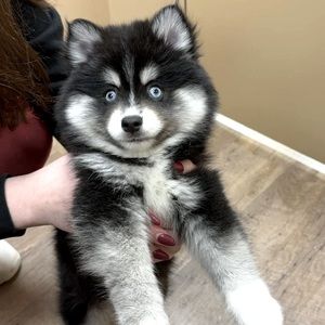 Meet your Posher, Mckenna